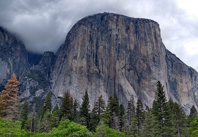 Profile Photo Landscape